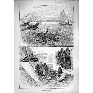  1890 Wild Goose Shooting Hunting Boats Birds Sea