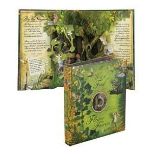  how to find fairies pop up book Toys & Games