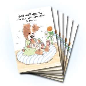   Suzys Zoo Get Well Greeting Card 6 pack 10261