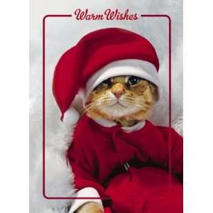  Avanti Plus Christmas Cards, Kitty Santa, 10 Count 