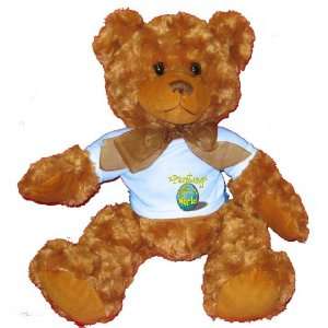   Rock My World Plush Teddy Bear with BLUE T Shirt Toys & Games