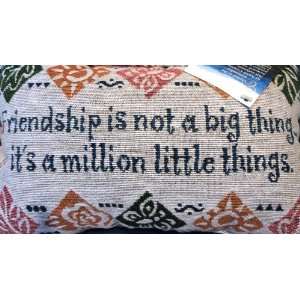 Friendship Is Not a Big Thing Pillow 