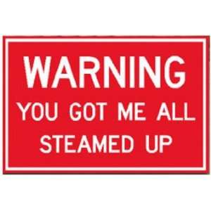  Warning You Got Me All Steamed Up Train Aluminum Sign 