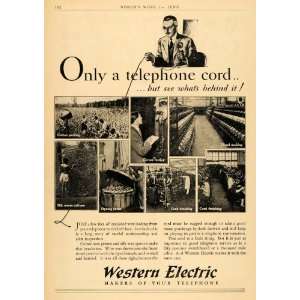   Telephone Cord Cotton Picking   Original Print Ad