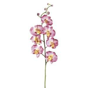 Faux 33 Pastoral Symphony Orchid Spray W/7 Flw. Two Tone Beauty (Pack 