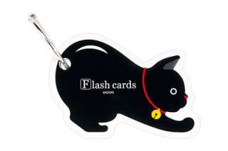 Midori Flash Cards, 10 fun designs revision/memory aids  