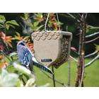 Birds Choice Recycled Peanut Bird Feeder with Hanging Cable