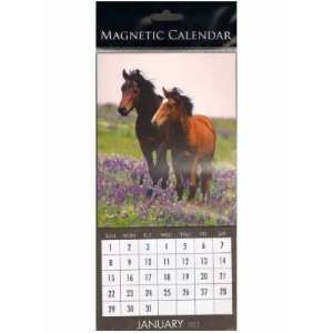  Horses 2012 Magnetic Calendar