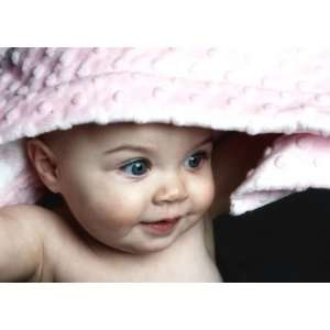   Blanket Designer Adult Blanket Pink Toile Minky & Pink Minky Dot Baby