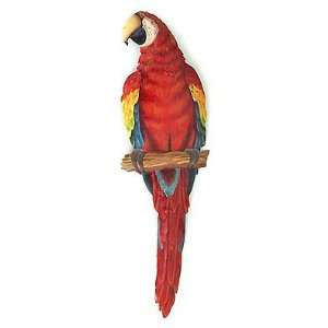  Painted Parrot Metal Wall Decor   Tropical Design   8 x 