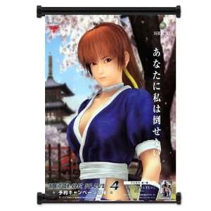  Dead or Alive Game Fabric Wall Scroll Poster (16x20 