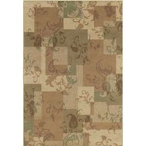  Shaw Rug Concepts Collection Idyll 5 3 X 7 10 