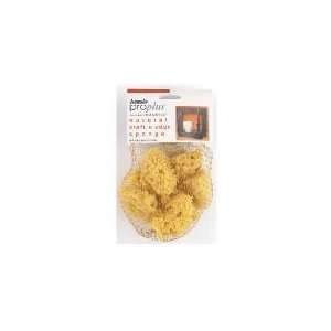  6PK Artist Sponge ASSTD