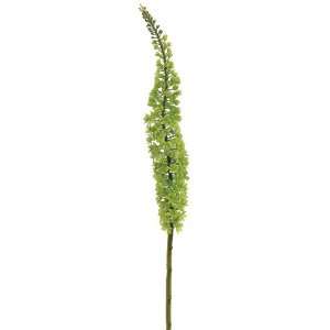  44 Foxtail Lily Spray Green (Pack of 12) Beauty