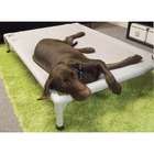 Coolaroo Aluminum Frame Elevated Dog Bed   Size Large (43 x 31.5)