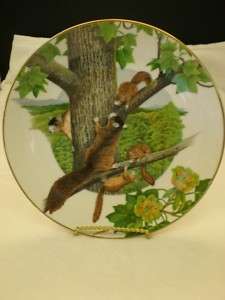 FOX SQUIRREL SOUTHERN FOREST FAMILIES PLATE BY BARLOWE  