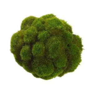  6.5 Mood Moss Ball Green (Pack of 6) Patio, Lawn & Garden