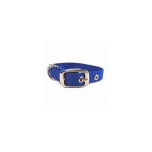  Single Thick Nylon Dog Collar Blue 12 In
