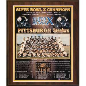 1975 Pittsburgh Steelers NFL Football Super Bowl 10 X Championship 