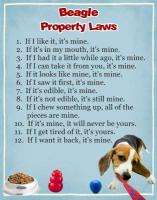 Property Laws   BEAGLE   Dog Magnet  
