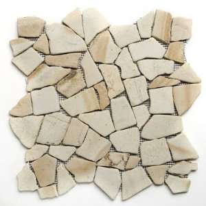 Stone Wilderness 12 x 12 Inch Floor & Wall Irregular Mosaic Brown 