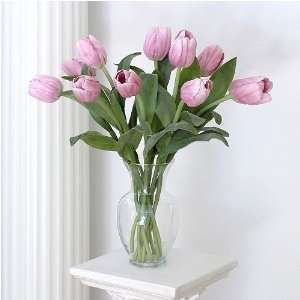  Pink Triumph Tulip Stems