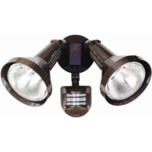 Designers Edge L976BR Outdoor Flood Light Fixture, Two Socket with 