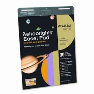  New Wausau Paper 25918   Astrobrights Easel Pads, 25 x 30 