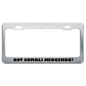 Got Somali Hedgehog? Animals Pets Metal License Plate Frame Holder 