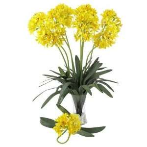   Natural Yellow 29 Inch African Lily Stem (Set of 12)
