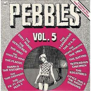  Pebbles Volume 5 Various Prog & Psych Music