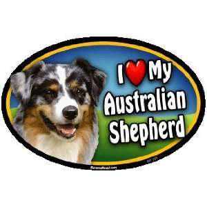  Oval Car Magnet   I Love My Australian Shepherd Kitchen 