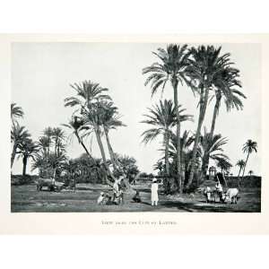 com 1906 Print View Near City Lahore India Indigenous People Animals 