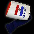 Paraguay Flag Long Neck Driver Head Cover, International Heritage 