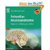 Neuroanatomie. Struktur und Funktion  Martin Trepel 