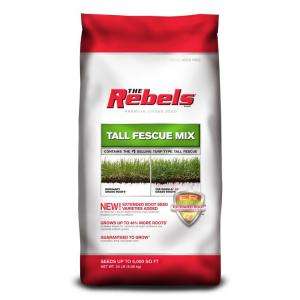 Tall Fescue from Pennington     Model 147858