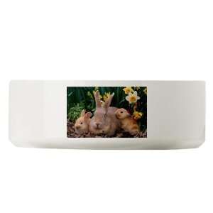  Large Dog Cat Food Water Bowl Spring Easter Rabbits 
