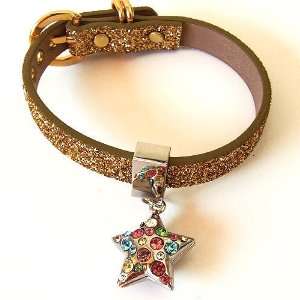  Gold Twinkle Collar with Multi Colored Star Small 