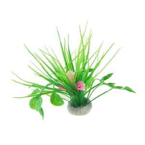  Como Fish Tank White Pink Flower Green Leaf Plant Grass 