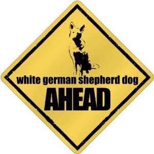   White German Shepherd Dog Bites Ahead   Crossing Dog