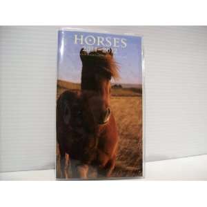    Horses 2 Year Monthly Planner 2011 and 2012 