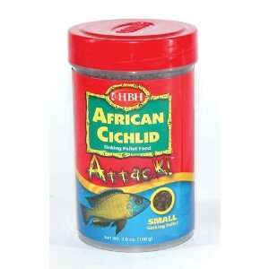  African Cichlid Attack   22007   Bci