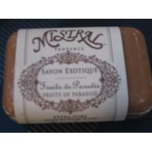 Mistral Provence Shea Butter Soap Bar  Fruits of Paradise 
