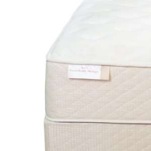   Air Back Supporter Latex Simplicity Plush Mattress Set Furniture
