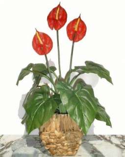 Anthurium Plant 21 (53cm), Artificial Synthetic Flower  