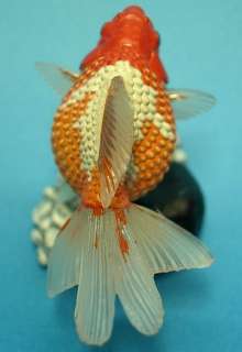Yujin Dollhouse Miniature Aquarium Fish Pearlscale  