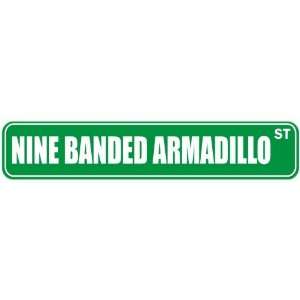   NINE BANDED ARMADILLO ST  STREET SIGN