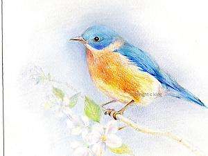 ORIGINAL ART BLUE BIRD DRAWING PAINTING PASTELS  