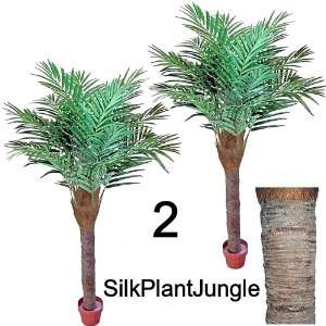 com 1 lot of 2 Silk Artificial Potted 6 foot 8 inch Phoenix Palm Tree 