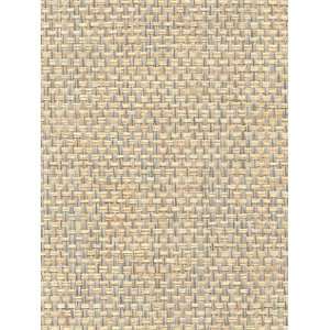  Wallpaper Astek Grasscloth & textures V AtX205